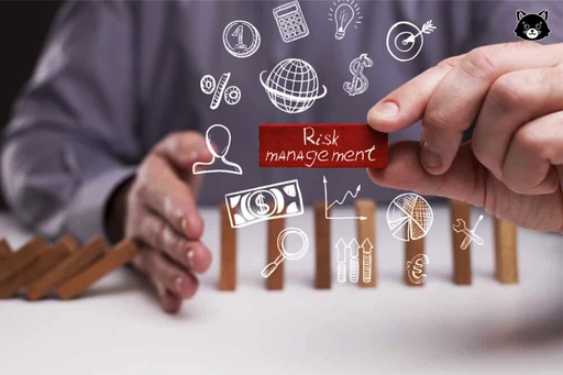 إدارة مخاطر الاستثمار