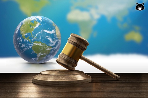 Introduction au droit pénal international